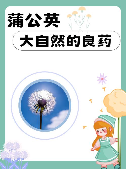 蒲公英的禁忌，蒲公英的副作用，蒲公英的禁忌,蒲公英的副作用有哪些-第5张图片-优品飞百科