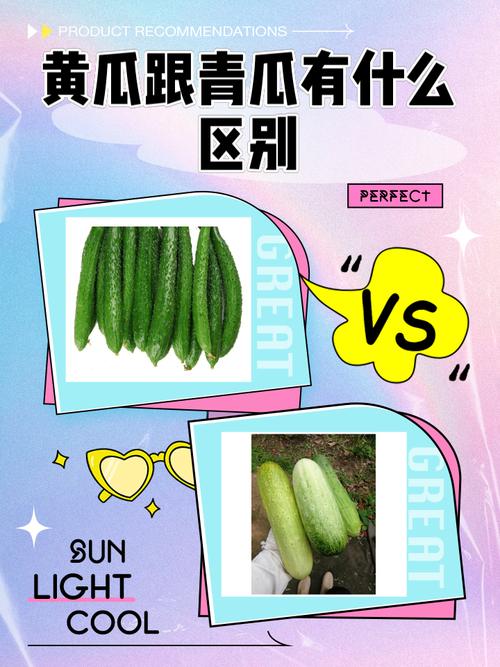 黄瓜和青瓜的区别，黄瓜图片，黄瓜与青瓜的区别-第1张图片-优品飞百科