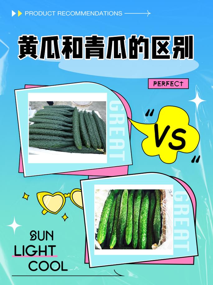 黄瓜和青瓜的区别，黄瓜图片，黄瓜与青瓜的区别-第2张图片-优品飞百科