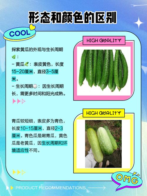 黄瓜和青瓜的区别，黄瓜图片，黄瓜与青瓜的区别-第3张图片-优品飞百科