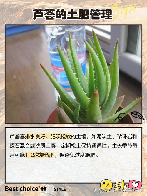 芦荟的风水作用，芦荟的风水作用禁忌-第6张图片-优品飞百科