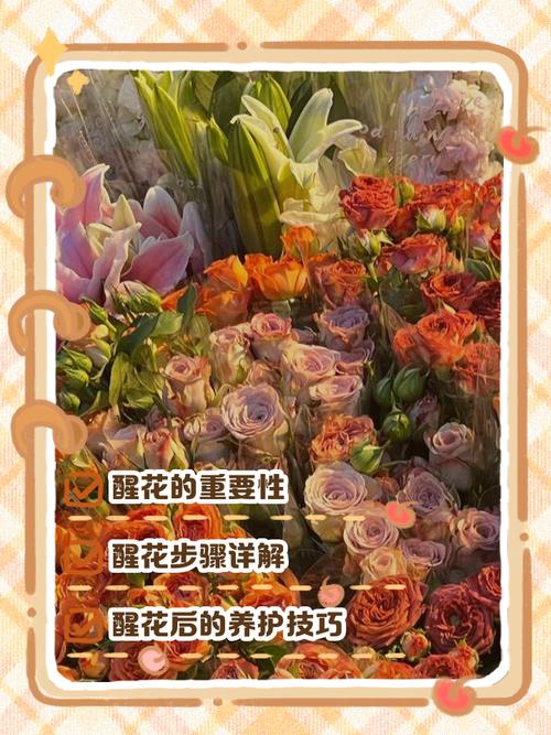 新手从花卉市场买的花如何养活,花市买回的花如何处理-第4张图片-优品飞百科 新手从花卉市场买的花如何养活,花市买回的花如何处理-第4张图片-优品飞百科