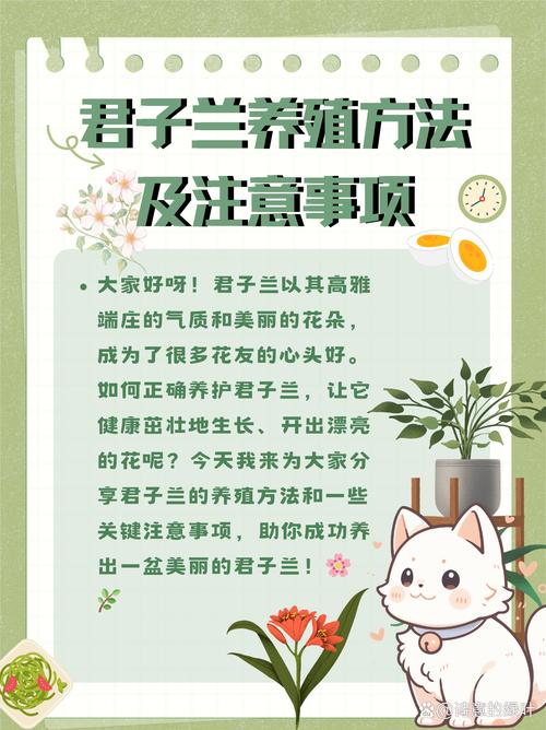 君子兰是酸性还是碱性，冬季的养殖方法和注意事项，君子兰是酸性还是碱性植物？-第6张图片-优品飞百科