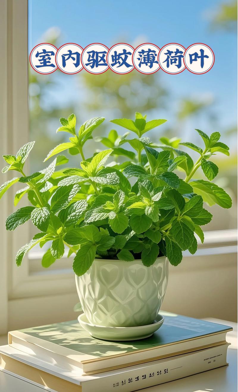 薄荷可以驱蚊吗？薄荷能驱蚊虫吗?？-第4张图片-优品飞百科