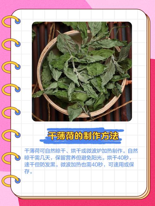 薄荷可以驱蚊吗？薄荷能驱蚊虫吗?？-第5张图片-优品飞百科
