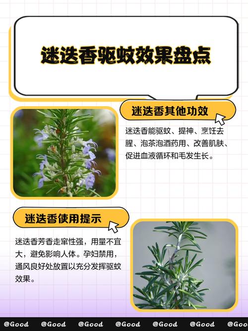 薄荷可以驱蚊吗？薄荷能驱蚊虫吗?？-第7张图片-优品飞百科