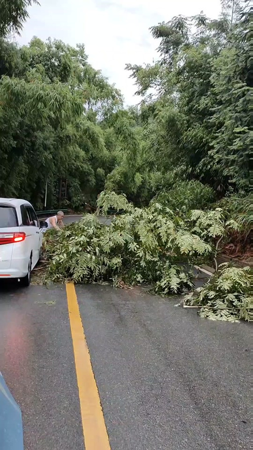 石棉天气预报，石棉天气预报一周 7天查询？-第4张图片-优品飞百科