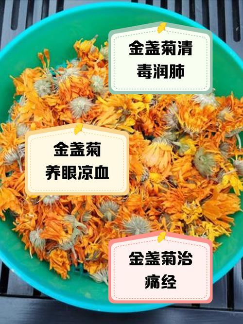 金盏菊泡水喝的功效，金盏菊泡水喝禁忌？-第5张图片-优品飞百科