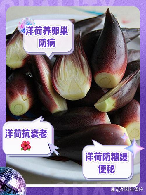 荷花能吃吗，孕妇能吃吗？荷花能吃吗,孕妇能吃吗？-第2张图片-优品飞百科