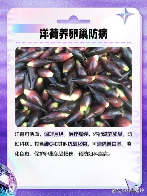 荷花能吃吗，孕妇能吃吗？荷花能吃吗,孕妇能吃吗？-第6张图片-优品飞百科