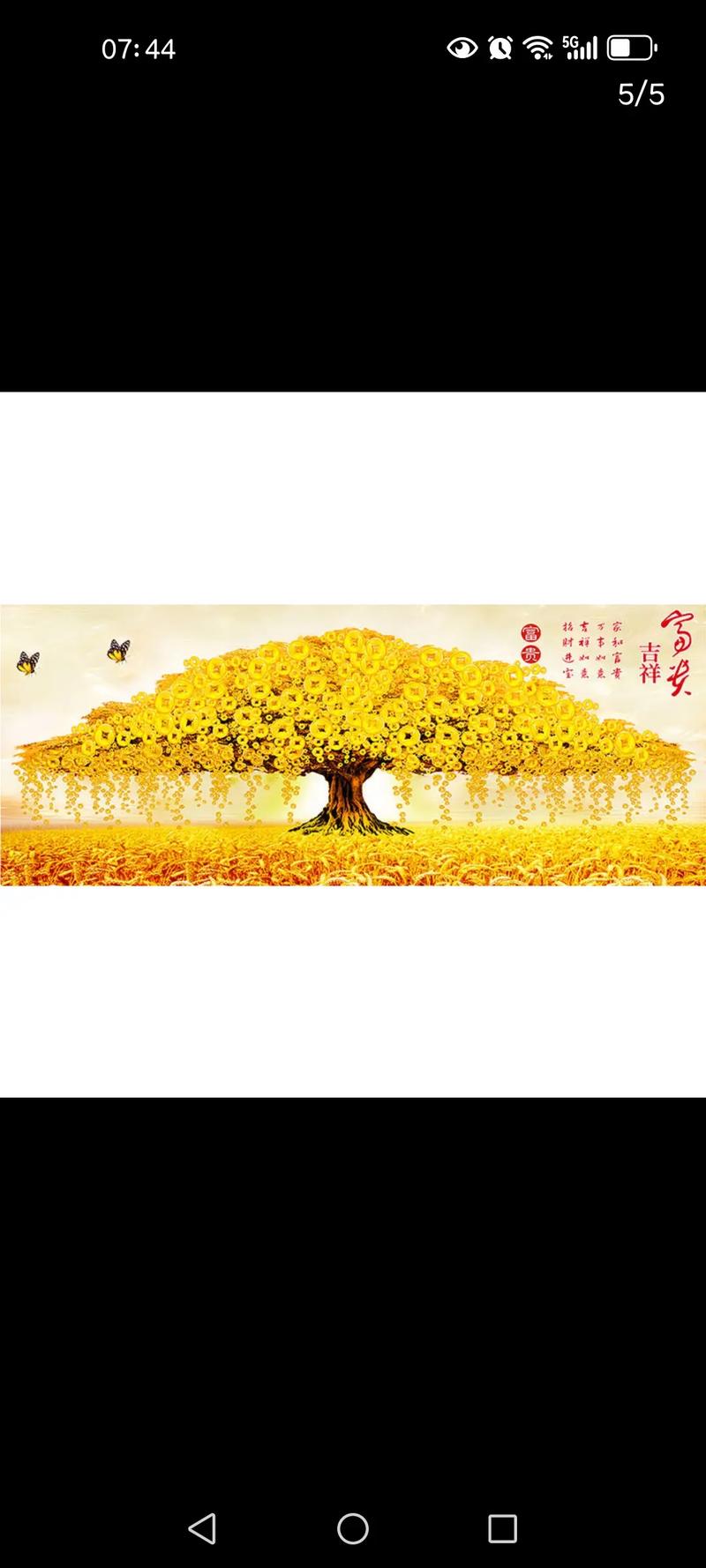 摇钱树有什么作用？摇钱树值钱吗？-第1张图片-优品飞百科