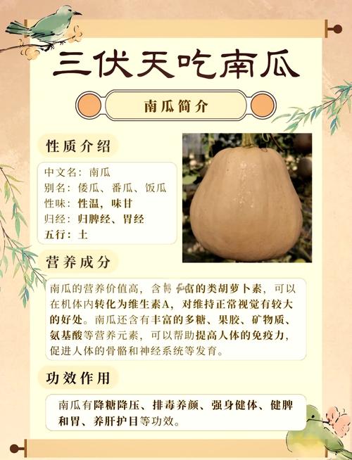 大南瓜的养殖方法和注意事项，大南瓜的种植与管理