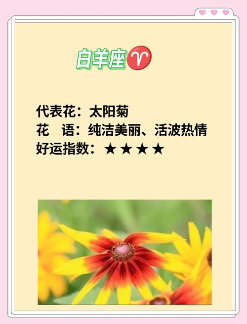 姬凤梨的花语是什么，姬凤梨品种-第1张图片-优品飞百科