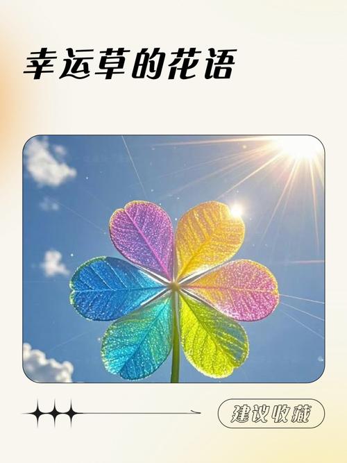 姬凤梨的花语是什么，姬凤梨品种-第6张图片-优品飞百科