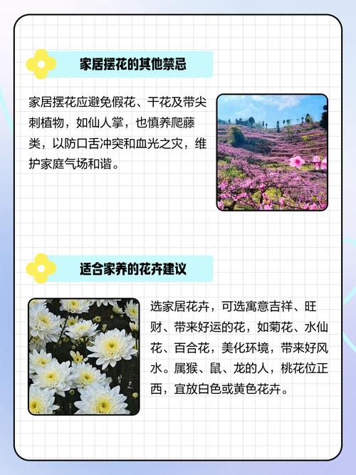 桃花养在家好不好，盆栽桃花怎么养？桃花盆栽如何养？-第2张图片-优品飞百科