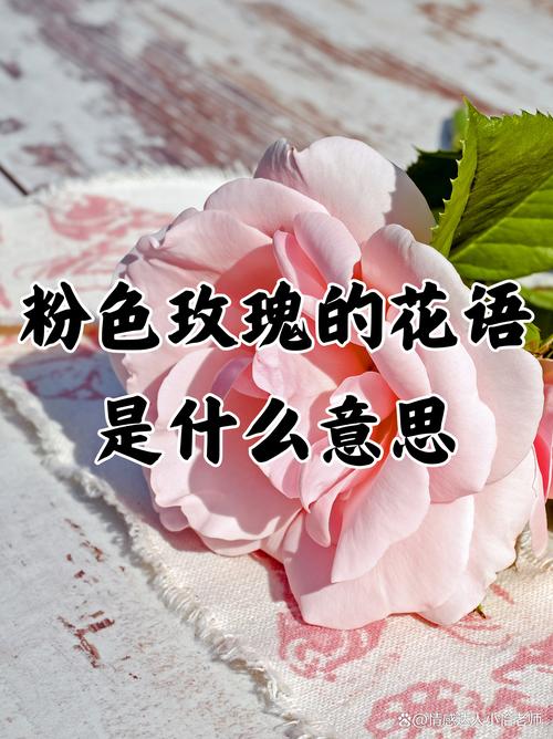 粉玫瑰代表什么意思，三朵粉玫瑰代表什么意思-第4张图片-优品飞百科