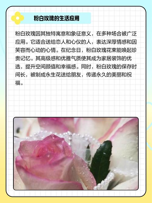 粉玫瑰代表什么意思，三朵粉玫瑰代表什么意思-第6张图片-优品飞百科