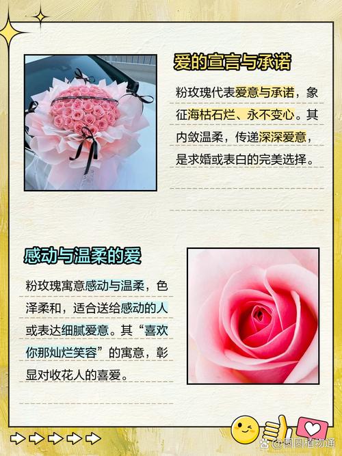 粉玫瑰代表什么意思，三朵粉玫瑰代表什么意思-第7张图片-优品飞百科