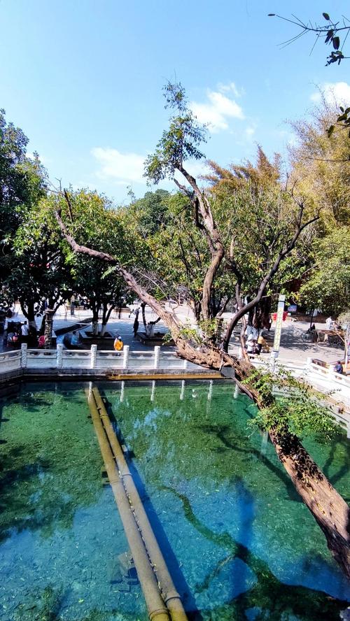 巧家县天气预报，巧家县天气预报24小时详情-第3张图片-优品飞百科