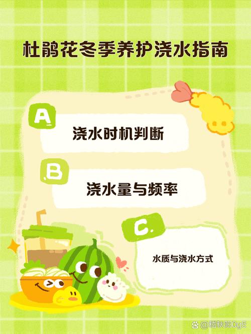 杜鹃花浇水的正确方法，冬天怎么管理？杜鹃花冬季怎样浇水？-第4张图片-优品飞百科