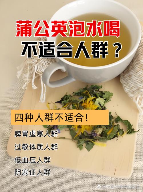 长期喝干蒲公英水好吗？喝蒲公英水能减肥吗?长期喝干蒲公英水好吗?？-第1张图片-优品飞百科