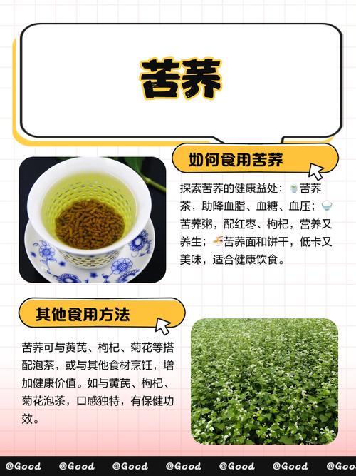 苦荞麦的养殖方法，苦荞麦的种植方法？-第8张图片-优品飞百科