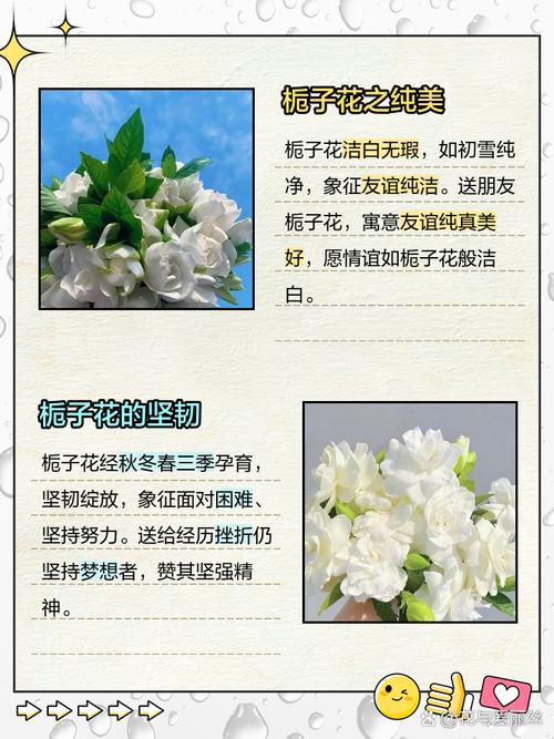 栀子花的花语是什么?绿色栀子花的花语是什么?-第2张图片-优品飞百科 栀子花的花语是什么?绿色栀子花的花语是什么?-第2张图片-优品飞百科