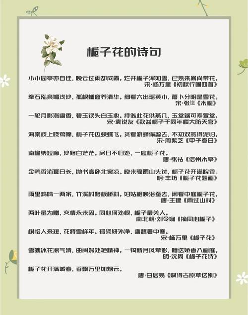 栀子花的花语是什么?绿色栀子花的花语是什么?-第3张图片-优品飞百科 栀子花的花语是什么?绿色栀子花的花语是什么?-第3张图片-优品飞百科