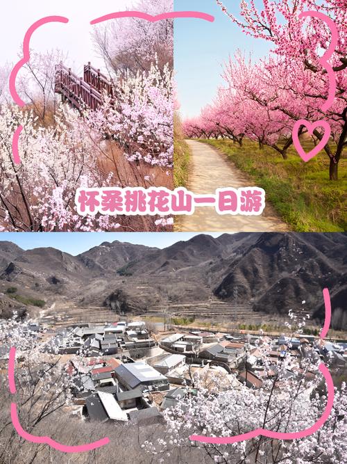 朝阳市双塔区天气预报，辽宁省朝阳市双塔区天气预报-第3张图片-优品飞百科