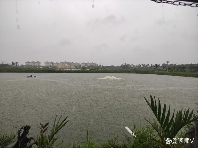 惠民天气预报30天？惠民天气预报预报？-第2张图片-优品飞百科