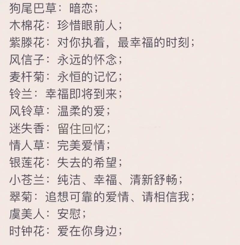 玫瑰支数代表的意思，送11朵还是19朵？玫瑰花束11支含义？-第3张图片-优品飞百科