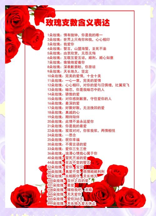 玫瑰支数代表的意思，送11朵还是19朵？玫瑰花束11支含义？-第4张图片-优品飞百科