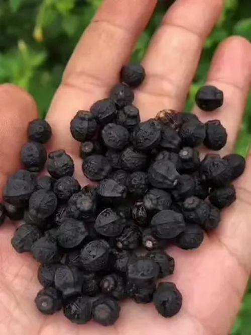 紫茉莉怎么美白？紫茉莉怎么美白皮肤？-第3张图片-优品飞百科