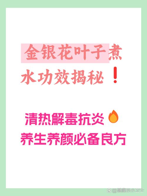 金银花叶子可以泡水喝吗，叶子泡水的功效与作用？金银花的叶子泡水喝有什么好的效果？-第5张图片-优品飞百科