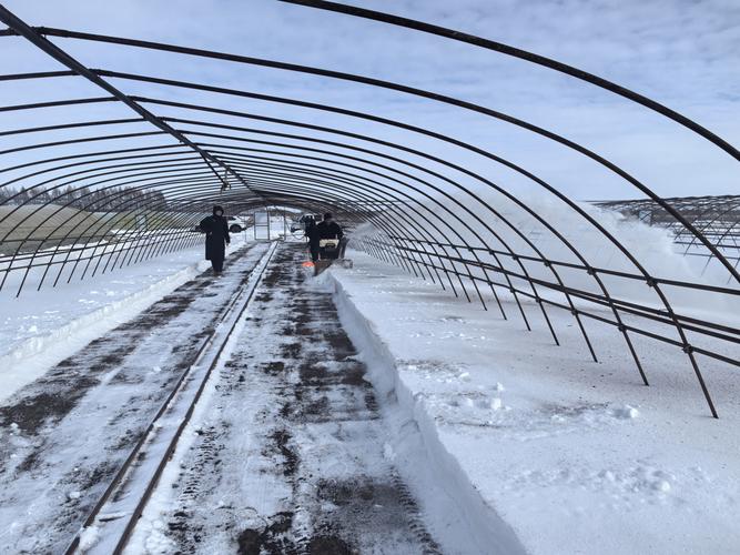 勤得利天气预报，同江勤得利最近天气？-第3张图片-优品飞百科