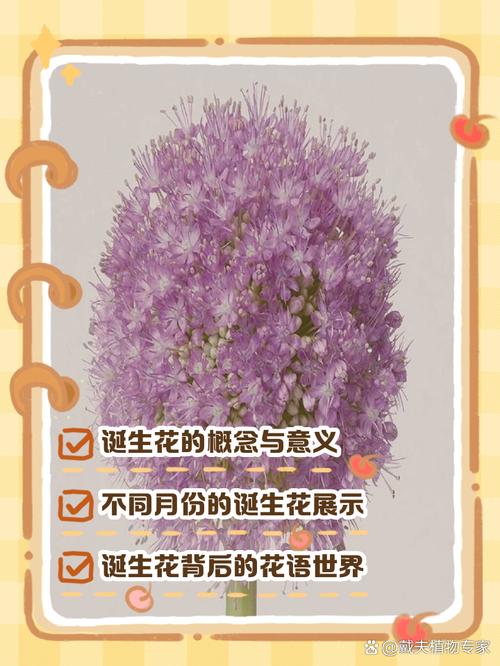 风信子与生日花，风信子花的花期-第6张图片-优品飞百科