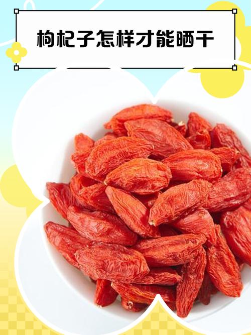 枸杞怎么晒干，枸杞怎么保存不会受潮？枸杞如何晾晒干？-第1张图片-优品飞百科