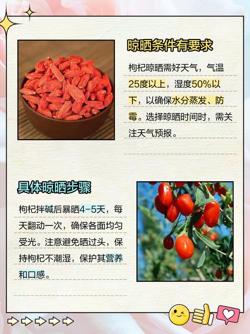 枸杞怎么晒干，枸杞怎么保存不会受潮？枸杞如何晾晒干？-第2张图片-优品飞百科