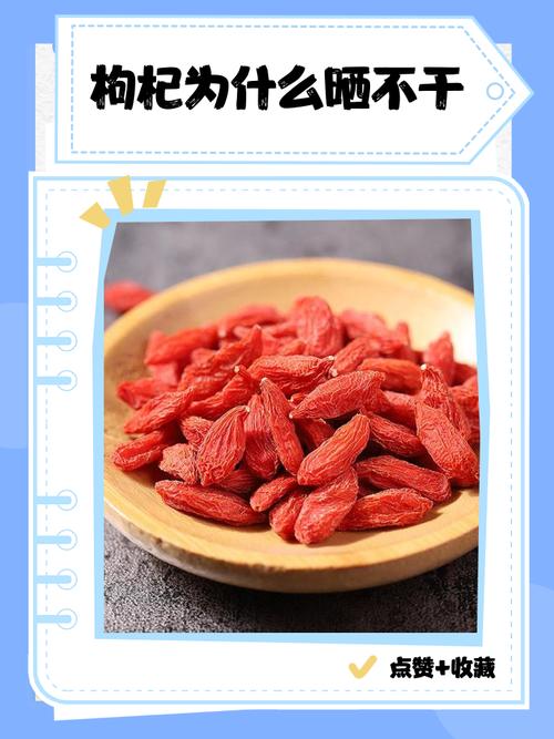 枸杞怎么晒干，枸杞怎么保存不会受潮？枸杞如何晾晒干？-第7张图片-优品飞百科