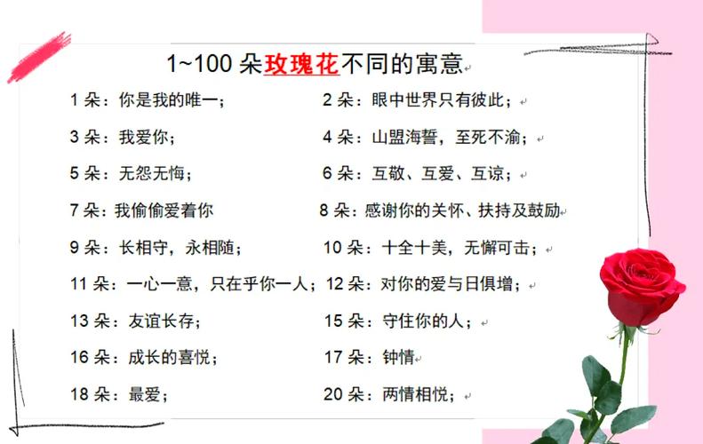 送多少朵玫瑰花的含义?送几朵玫瑰花合适?-第3张图片-优品飞百科 送多少朵玫瑰花的含义?送几朵玫瑰花合适?-第3张图片-优品飞百科