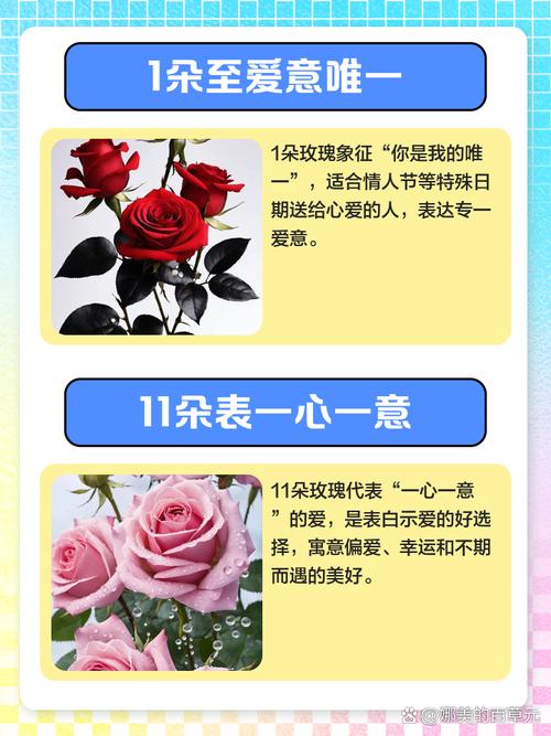 送多少朵玫瑰花的含义?送几朵玫瑰花合适?-第6张图片-优品飞百科 送多少朵玫瑰花的含义?送几朵玫瑰花合适?-第6张图片-优品飞百科