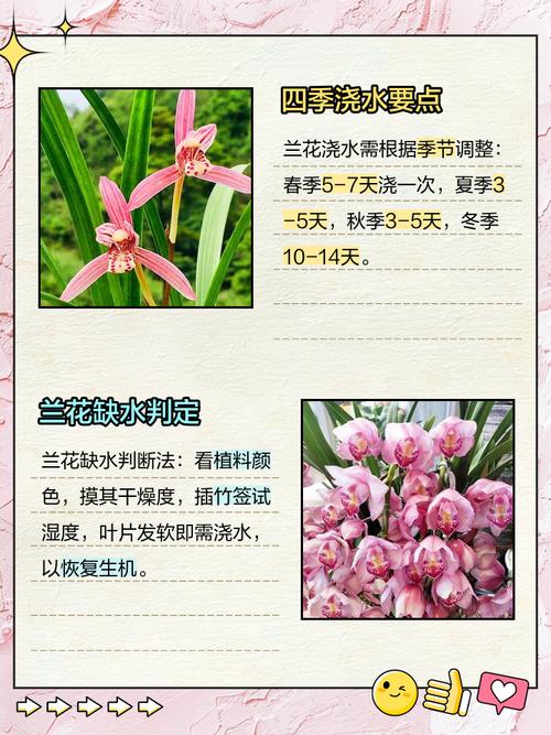 兰花可以用淘米水吗，浇花的兑水比例？兰花可以浇发酵的淘米水吗？-第2张图片-优品飞百科