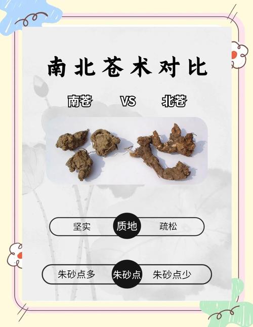 苍术的功效与作用,苍术的功效与作用点的功效与作用禁忌茯苓莱菔子?-第5张图片-优品飞百科 苍术的功效与作用,苍术的功效与作用点的功效与作用禁忌茯苓莱菔子?-第5张图片-优品飞百科