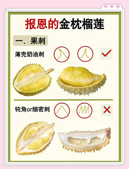 榴莲的功效与作用，榴莲的功效与作用的营养？-第2张图片-优品飞百科