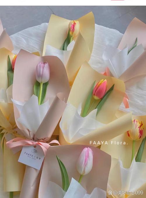 康乃馨多少钱一支？康乃馨多少钱一支正常价？-第3张图片-优品飞百科