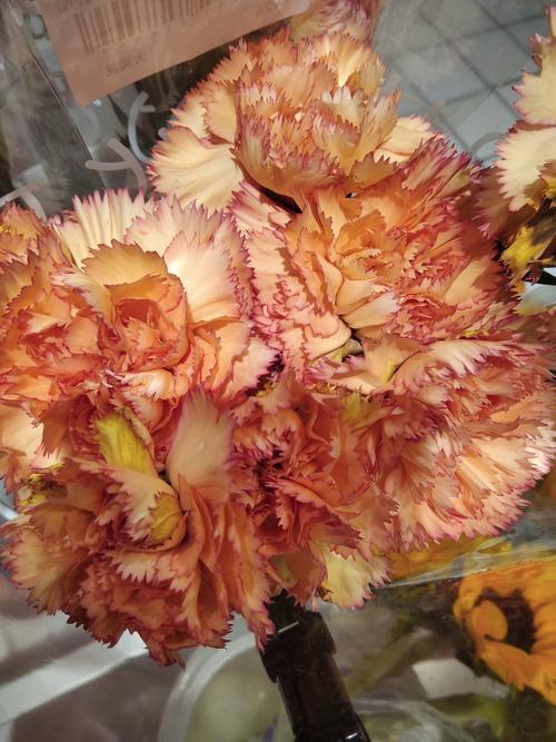 康乃馨多少钱一支？康乃馨多少钱一支正常价？-第4张图片-优品飞百科