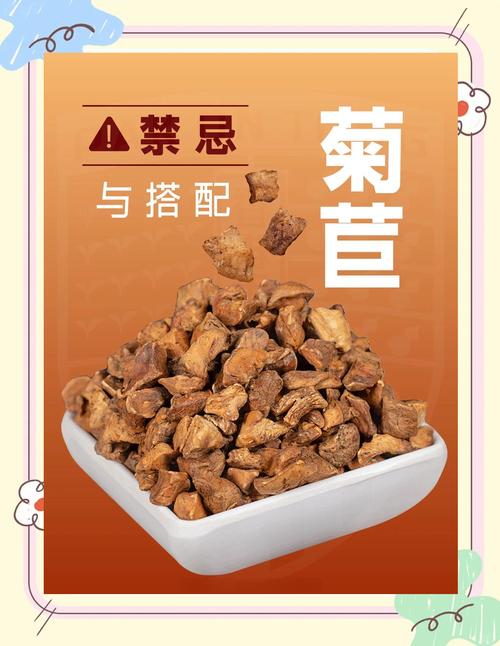 菊苣的作用和价值，菊苣的主要功效-第2张图片-优品飞百科