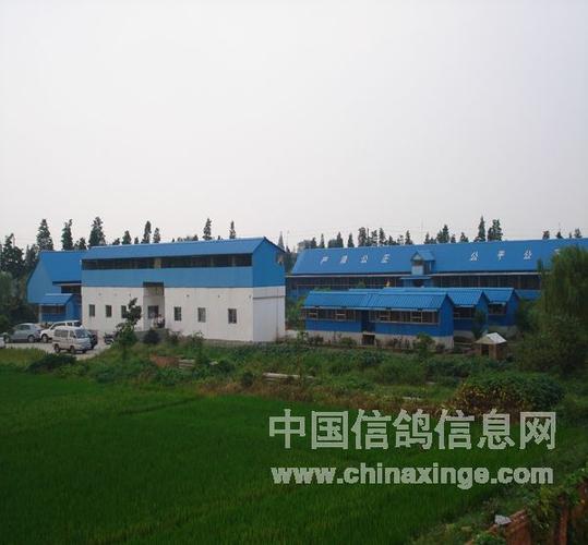 天气预报双阳区，天气预报双阳区按小时-第4张图片-优品飞百科