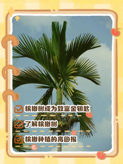 槟榔树的养殖方法和注意事项，槟榔树种