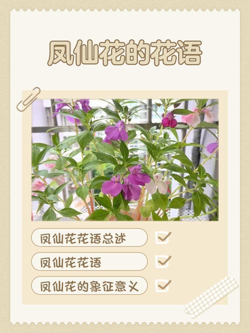 凤仙花花语，花期多长，凤仙花的花语和寓意了？-第3张图片-优品飞百科